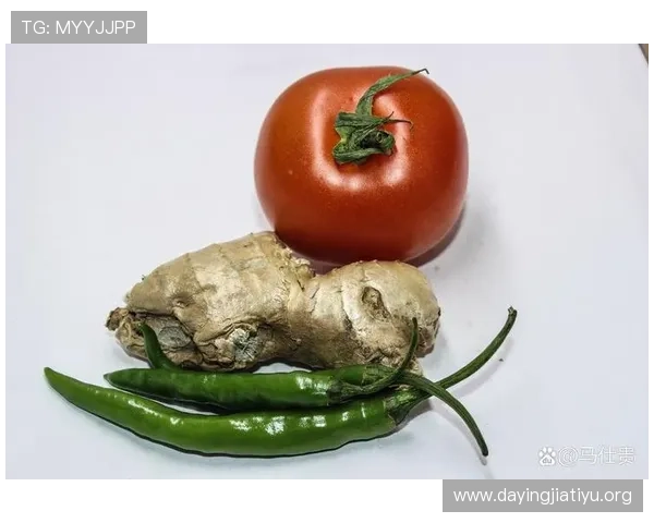 中考体育前应注意的能量补充食物有哪些，帮助考生保持良好状态的实用推荐